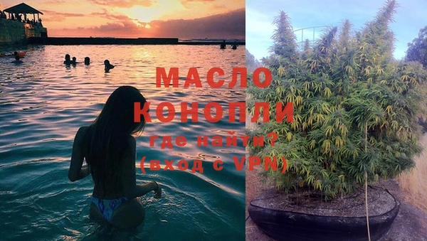 мет Арсеньев