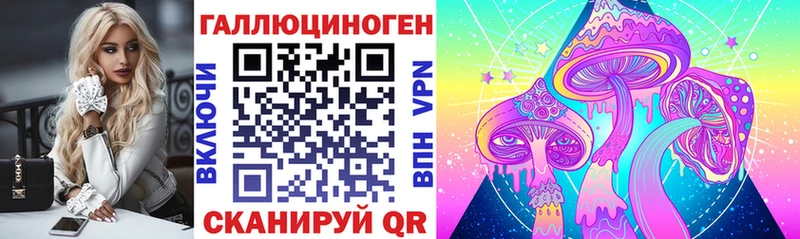 Псилоцибиновые грибы GOLDEN TEACHER  нарко площадка наркотические препараты  Балей  МЕГА tor 